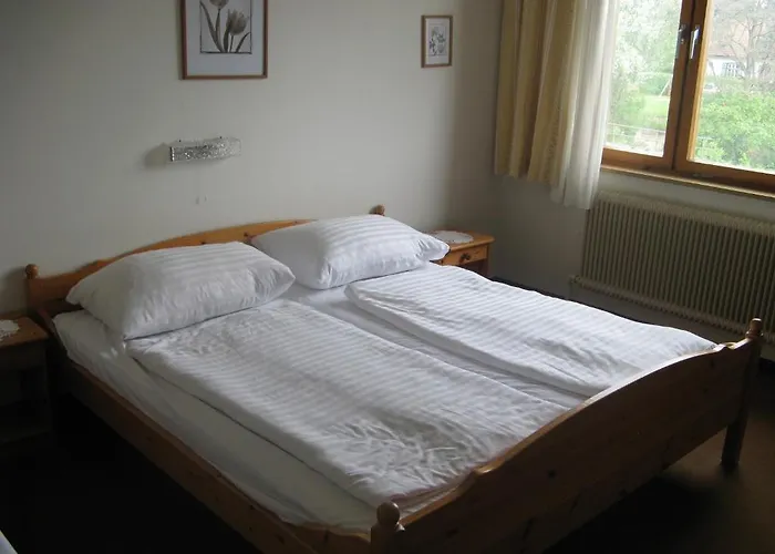 Roter Hahn * Hoflein an der Donau